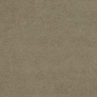 Eco Velvet Platinum swatch